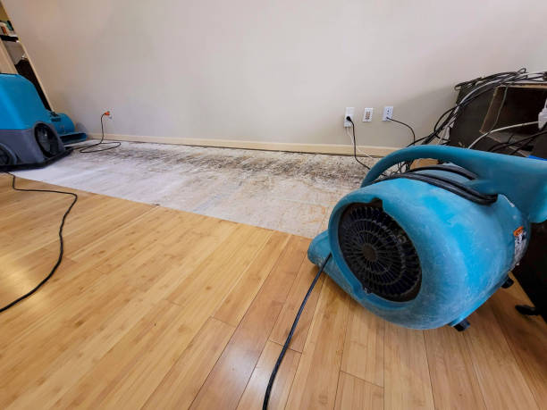 Reliable Basement Flood Cleanup contractor in Lindenhurst, IL by Hirex Water Damage