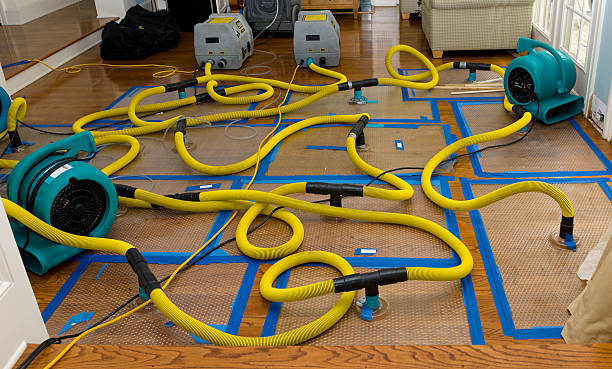 Professional Basement Flood Cleanup technician working in Lindenhurst, IL